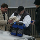 normal_19122009hundffaktivnews_02.jpg