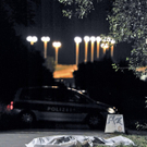 mord auf der donauinsel.jpg