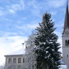DSC03028.JPG