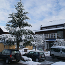 DSC03031.JPG