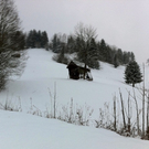 IMG_1033.JPG