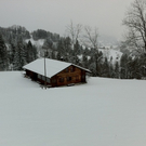 IMG_1049.JPG