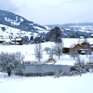 DSC03058.JPG