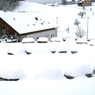 DSC03081.JPG