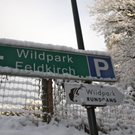 KOE_Wildpark Winterkleid 1_jpg-1324305641