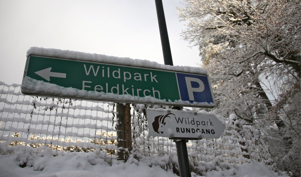 KOE_Wildpark Winterkleid 1_jpg-1324305641