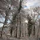 KOE_Wildpark Winterkleid 3_jpg-1324305670