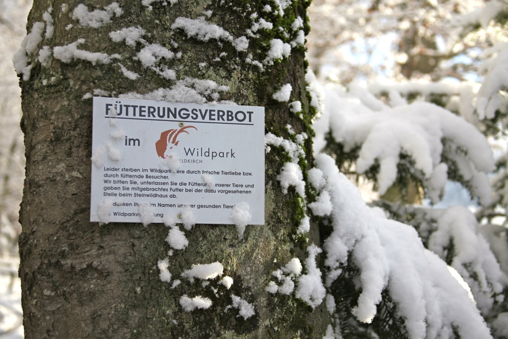 KOE_Wildpark Winterkleid 4_jpg-1324305678