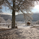 KOE_Wildpark Winterkleid 5_jpg-1324305688