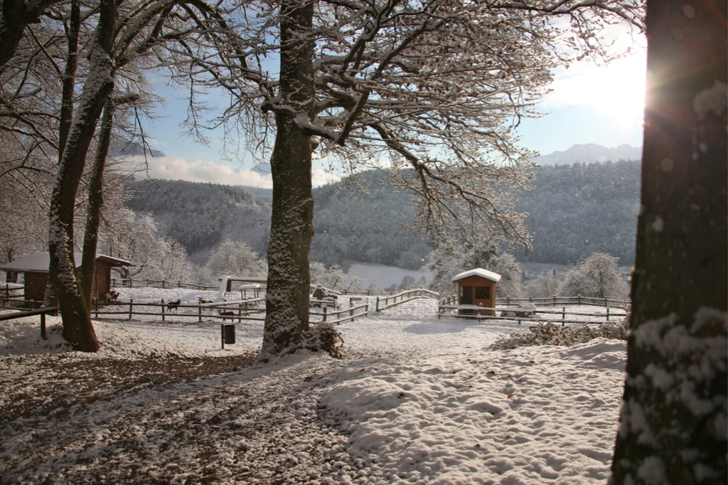 KOE_Wildpark Winterkleid 5_jpg-1324305688