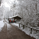 KOE_Wildpark Winterkleid 10_jpg-1324305731