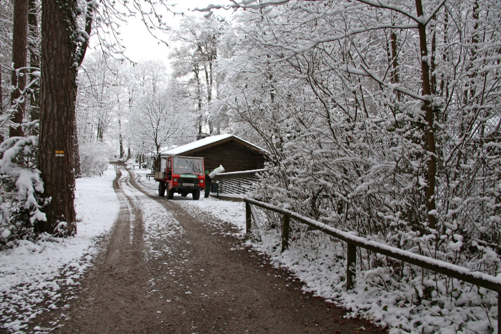 KOE_Wildpark Winterkleid 10_jpg-1324305731