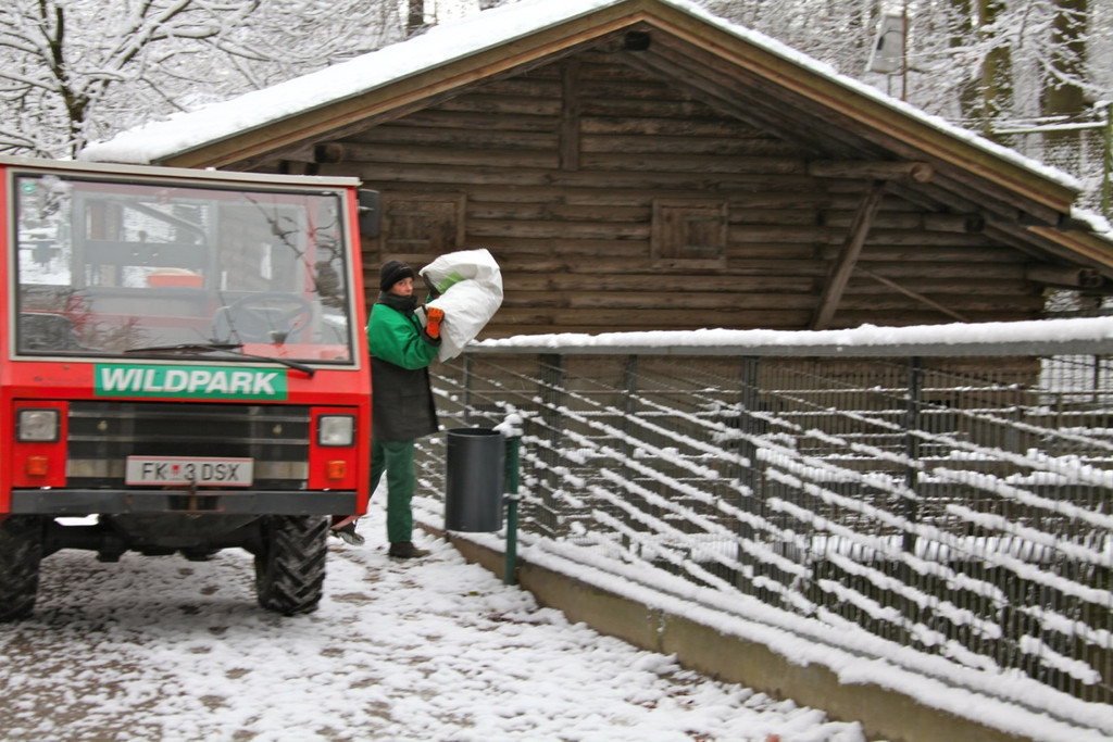 KOE_Wildpark Winterkleid 11_jpg-1324305741