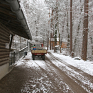 KOE_Wildpark Winterkleid 15_jpg-1324305783