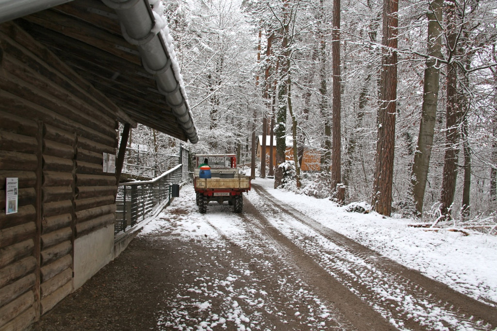 KOE_Wildpark Winterkleid 15_jpg-1324305783