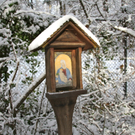 KOE_Wildpark Winterkleid 16_jpg-1324305792