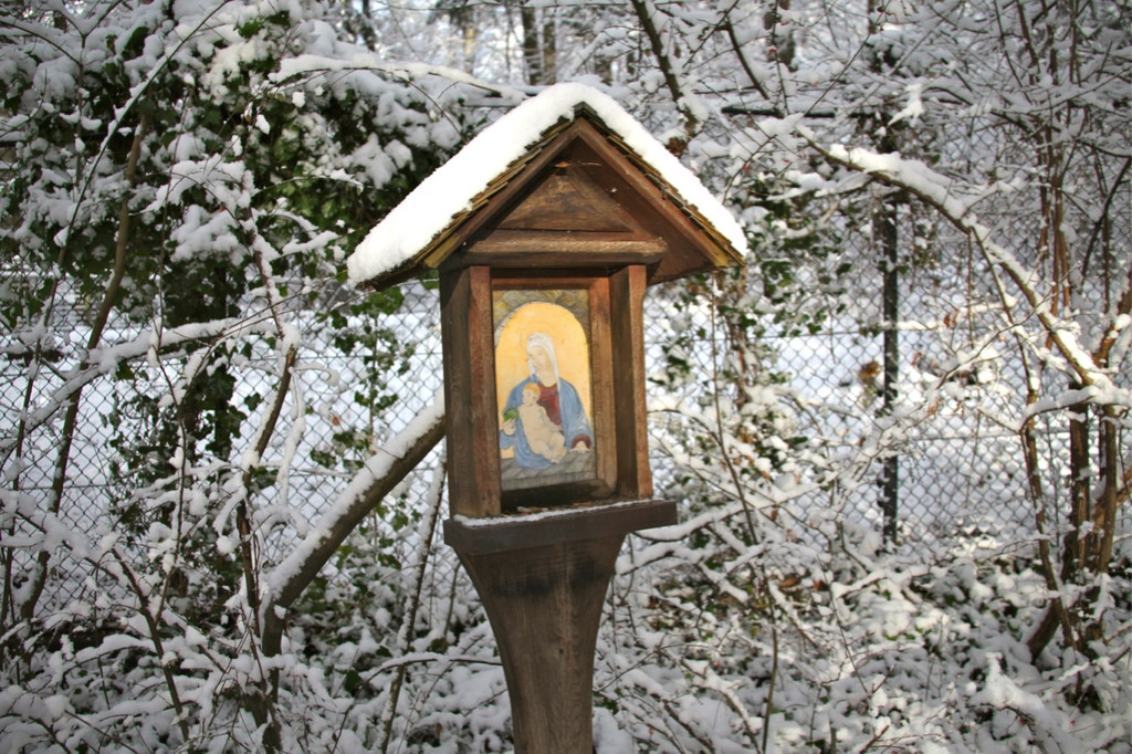 KOE_Wildpark Winterkleid 16_jpg-1324305792