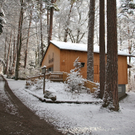 KOE_Wildpark Winterkleid 17_jpg-1324305804