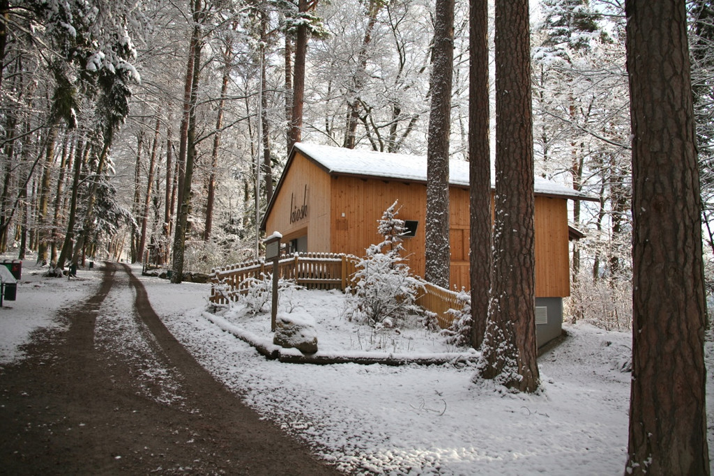 KOE_Wildpark Winterkleid 17_jpg-1324305804