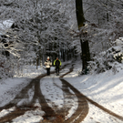 KOE_Wildpark Winterkleid 18_jpg-1324305813