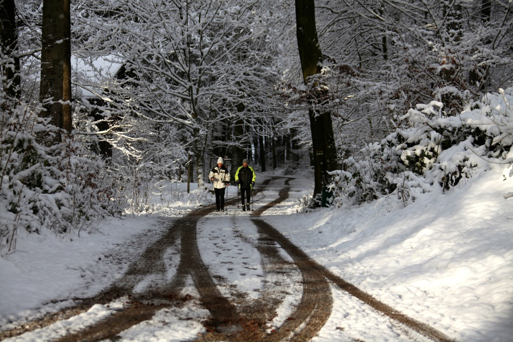KOE_Wildpark Winterkleid 18_jpg-1324305813
