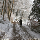 KOE_Wildpark Winterkleid 19_jpg-1324305825