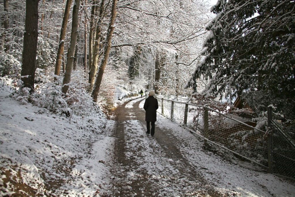 KOE_Wildpark Winterkleid 19_jpg-1324305825