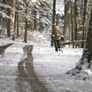 KOE_Wildpark Winterkleid 21_jpg-1324305842