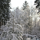 KOE_Wildpark Winterkleid 22_jpg-1324305853