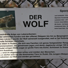 KOE_Wildpark Winterkleid 25_jpg-1324305873