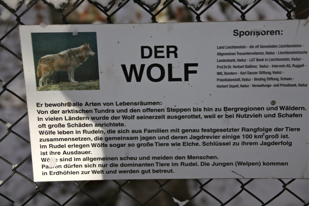 KOE_Wildpark Winterkleid 25_jpg-1324305873