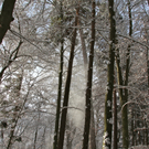 KOE_Wildpark Winterkleid 28_jpg-1324305897