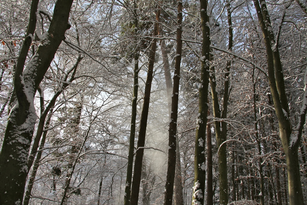 KOE_Wildpark Winterkleid 28_jpg-1324305897