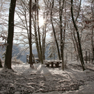 KOE_Wildpark Winterkleid 29_jpg-1324305909