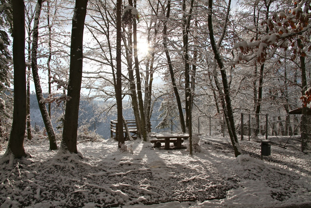 KOE_Wildpark Winterkleid 29_jpg-1324305909