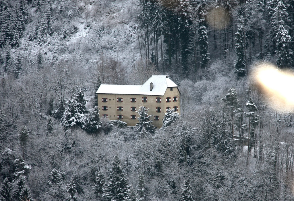 KOE_Wildpark Winterkleid 36_jpg-1324305965