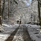 KOE_Wildpark Winterkleid 39_jpg-1324306000