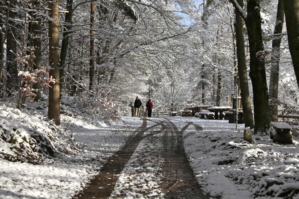 KOE_Wildpark Winterkleid 39_jpg-1324306000