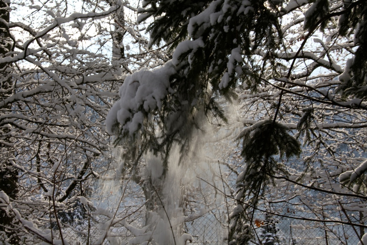 KOE_Wildpark Winterkleid 40_jpg-1324306014