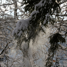 KOE_Wildpark Winterkleid 40_jpg-1324306014