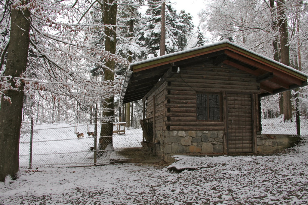 KOE_Wildpark Winterkleid 44_jpg-1324306048