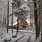 KOE_Wildpark Winterkleid 46_jpg-1324306067