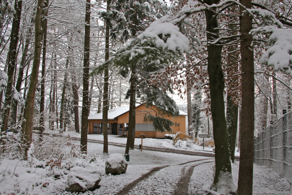 KOE_Wildpark Winterkleid 46_jpg-1324306067