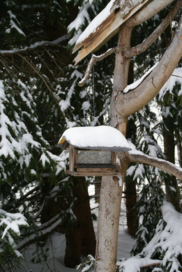 DSC03085.JPG