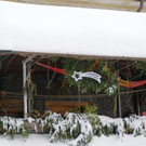 DSC03086.JPG