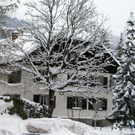 DSC03103.JPG