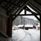 DSC03123.JPG