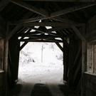 DSC03126.JPG