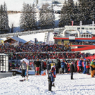Hirscher triumphiert in Italien