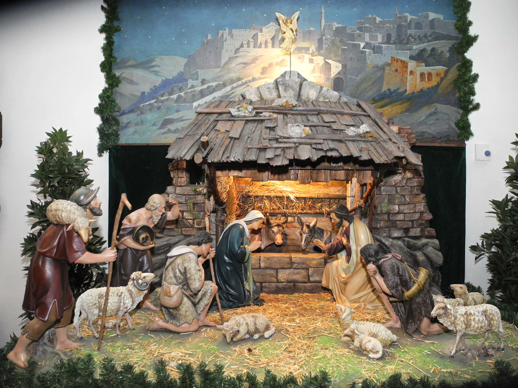 DSCN8987_jpg-1324315365